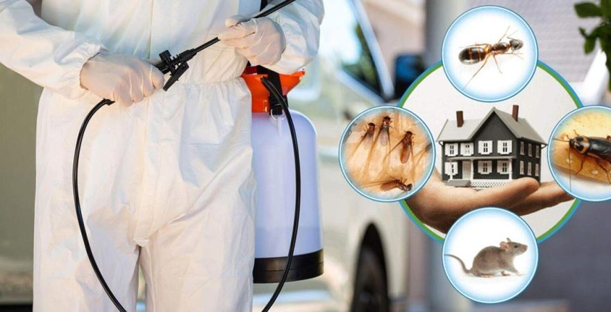 Safranbolu Böcek İlaçlama