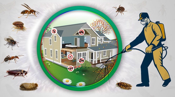 Safranbolu Böcek İlaçlama