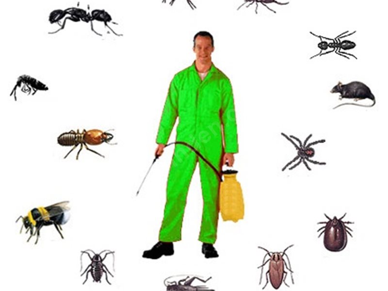 Safranbolu Böcek İlaçlama